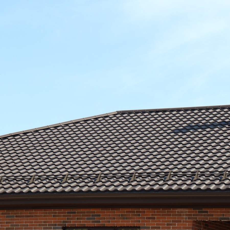 8017 (8)